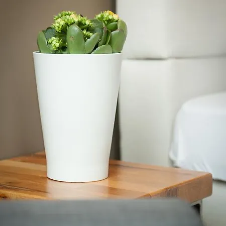 Five Reasons & Neurenberg