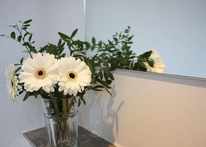 Five Reasons & אכסניה