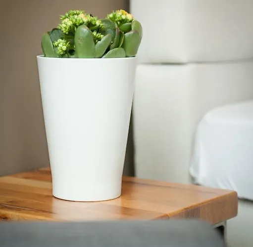 Five Reasons & נירנברג